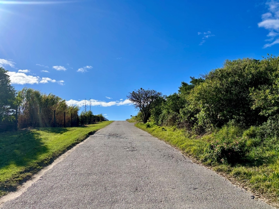0 Bedroom Property for Sale in Forest Downs Eastern Cape